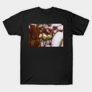 Christmas Snowy Plant T-Shirt